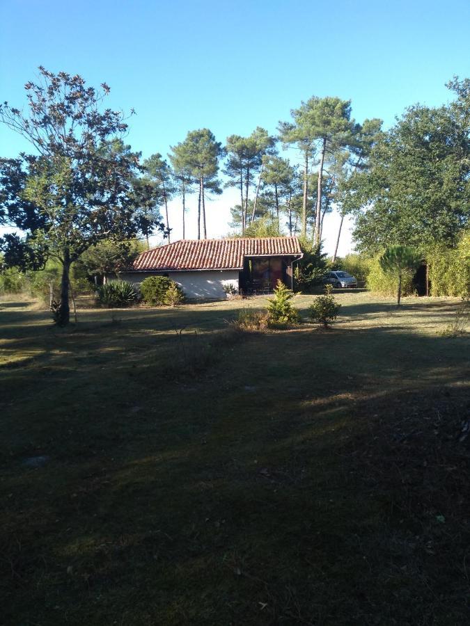 Maison Confortable Avec Terrasse En Bois Au Calme Sans Vis A Vis , 2 Chambres, Sur Un Parc De 4000M2 Arbore Et Clos Pissos ภายนอก รูปภาพ
