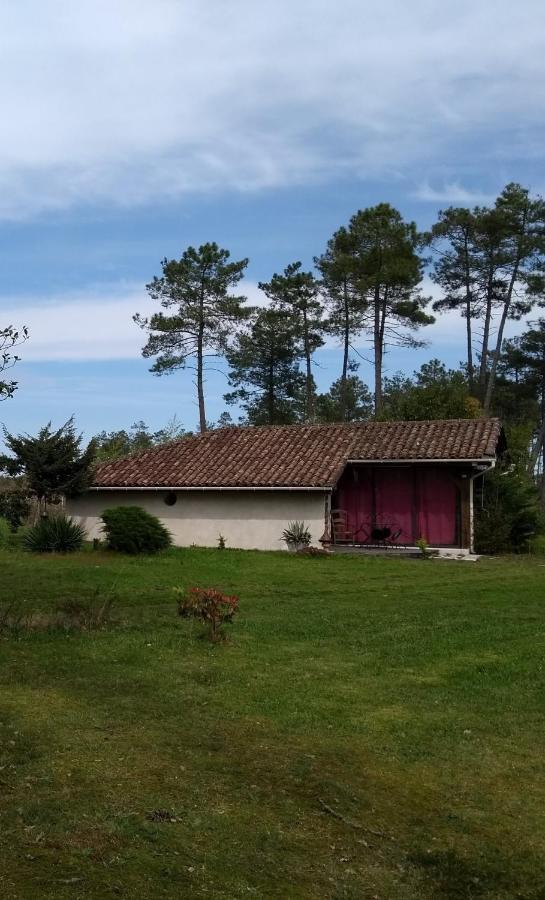 Maison Confortable Avec Terrasse En Bois Au Calme Sans Vis A Vis , 2 Chambres, Sur Un Parc De 4000M2 Arbore Et Clos Pissos ภายนอก รูปภาพ